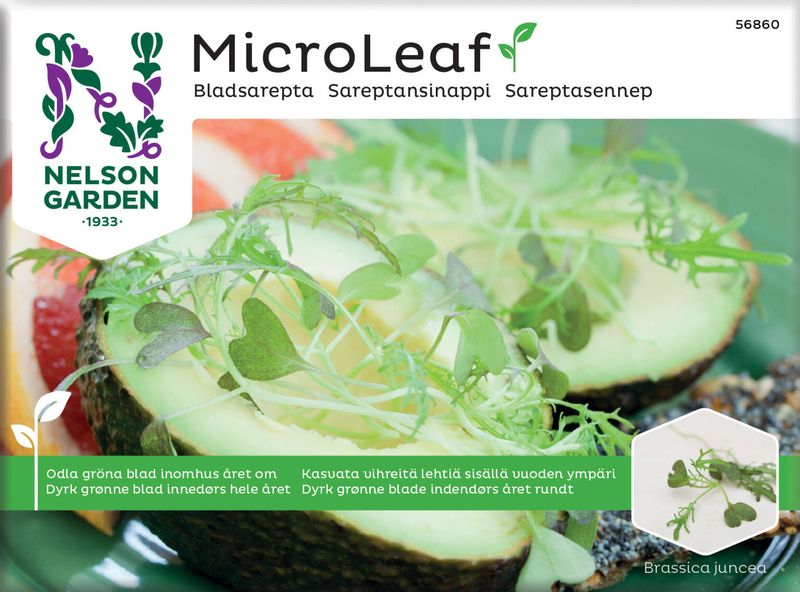 Micro Leaf Sareptasennep