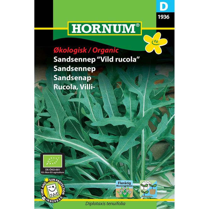 Hovedbilde ØKO, Sandsennep 