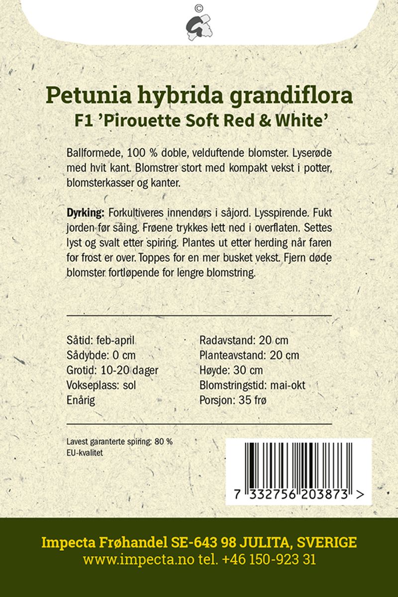 Petunia F1 'Pirouette Soft Red & White'