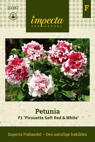 Hovedbilde Petunia F1 'Pirouette Soft Red & White'