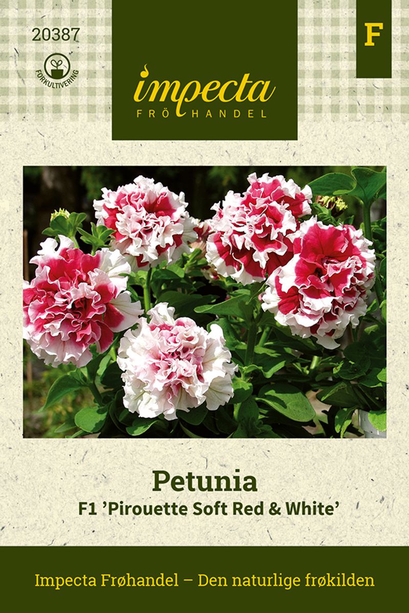 Petunia F1 'Pirouette Soft Red & White'