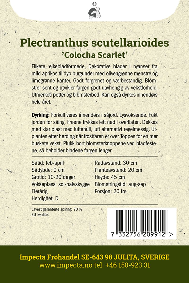 Praktspragle 'Colocha Scarlet'