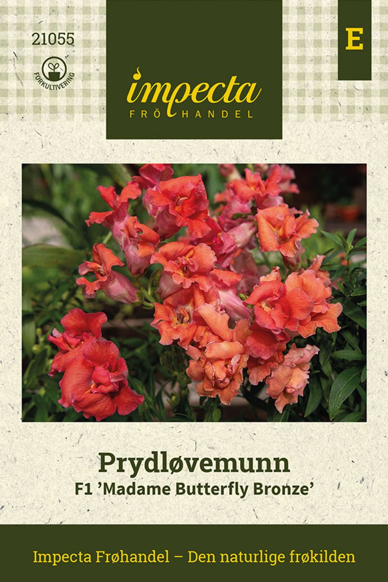 Prydløvemunn F1 'Madame Butterfly Bronze'