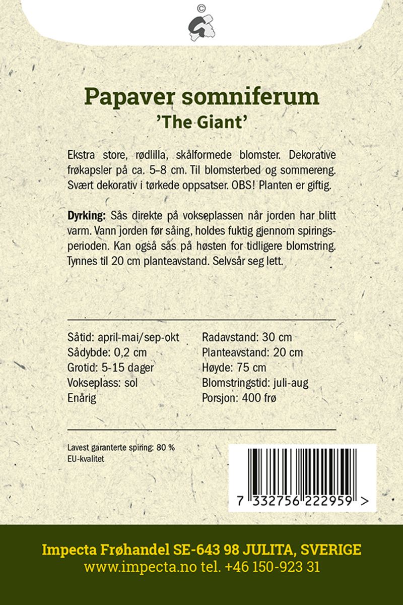 Valmue The Giant