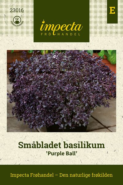 Hovedbilde Småbladet basilikum 'Purple Ball'