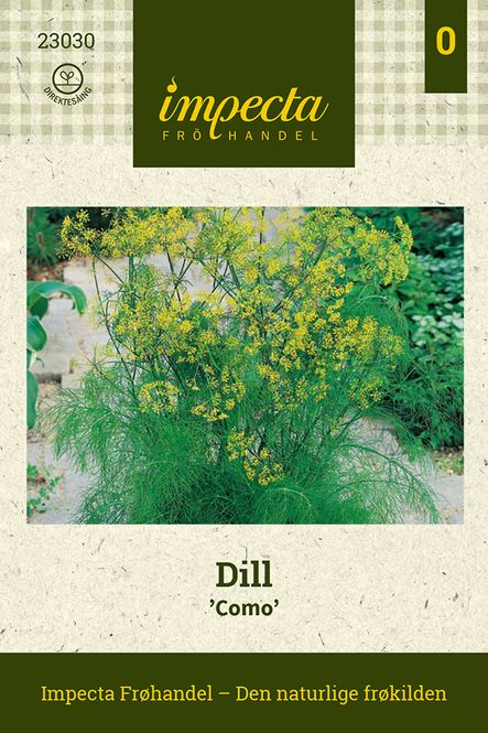 Hovedbilde Dill 'Como'