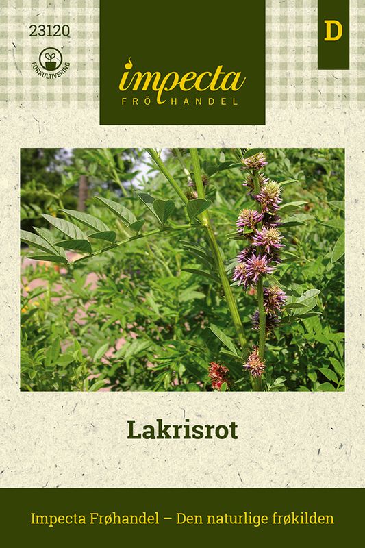 Lakrisrot