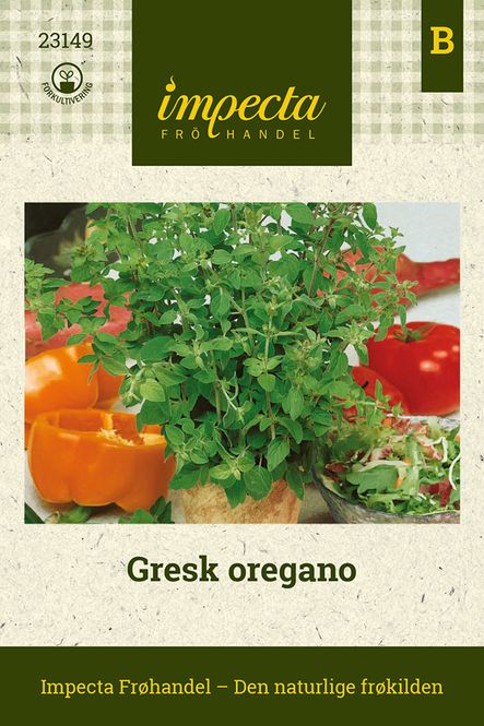 Hovedbilde Gresk oregano
