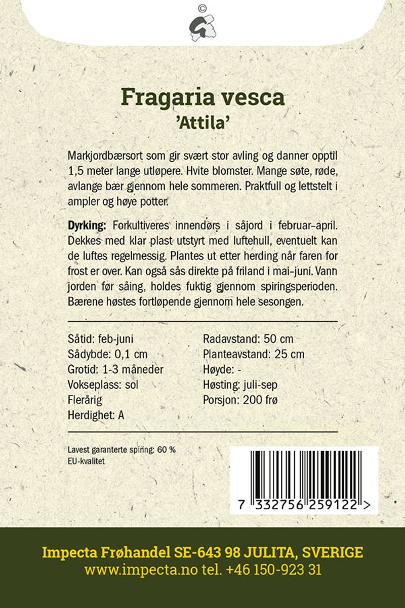 Markjordbær 'Attila'