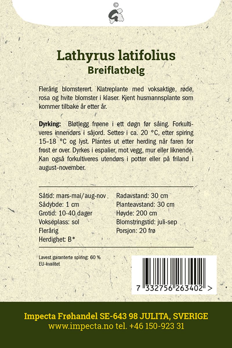 Breiflatbelg