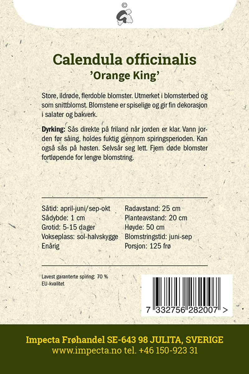 Ringblomst 'Orange King'