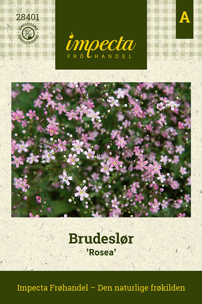 Brudeslør Rosea