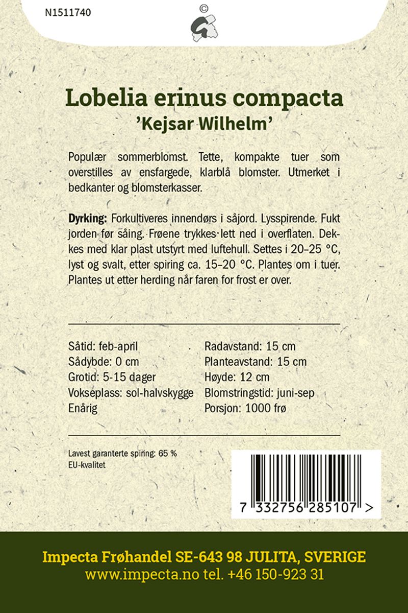 Kantlobelia 'Kejsar Wilhelm'
