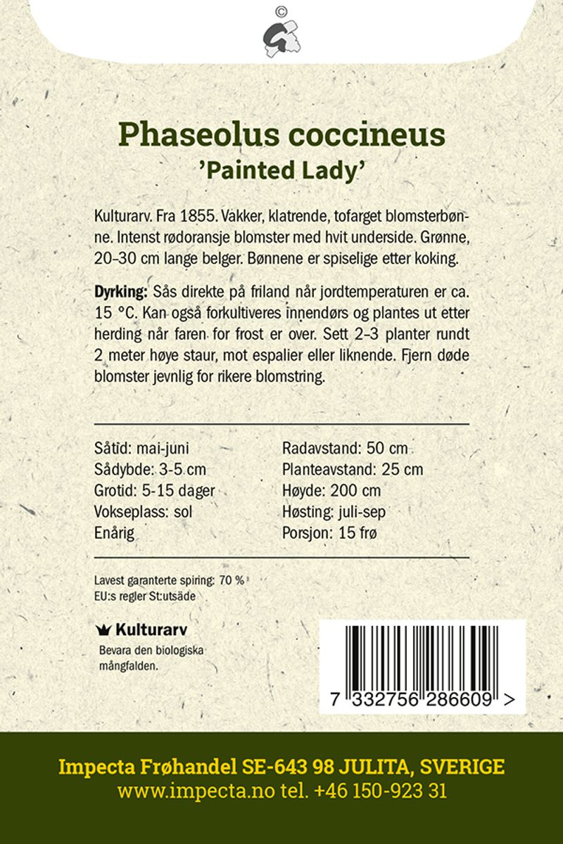 Prydbønne 'Painted Lady'