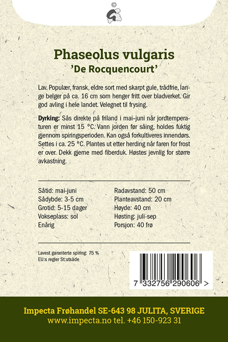 Voksbønne 'De Rocquencourt'