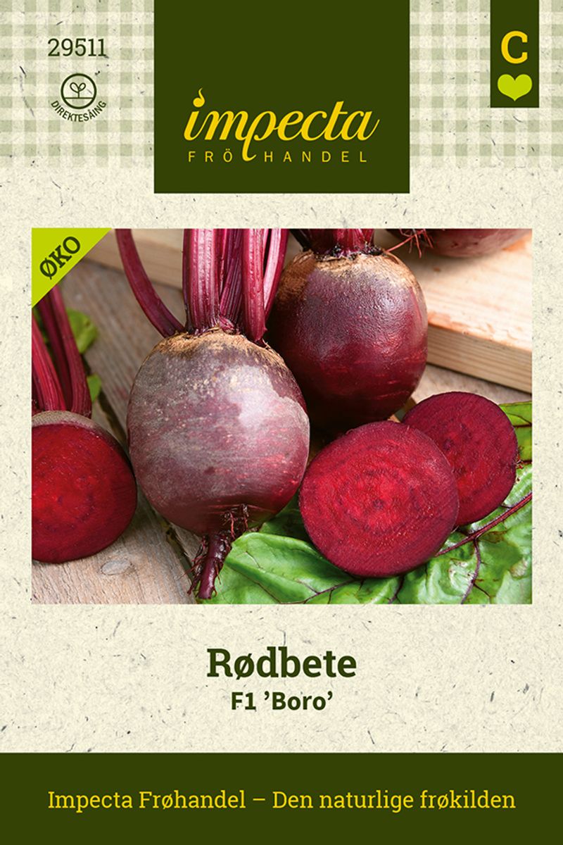 Rødbete F1 'Boro'