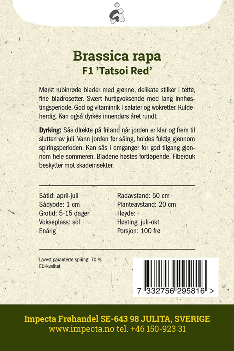 Tatsoi F1 'Tatsoi Red'