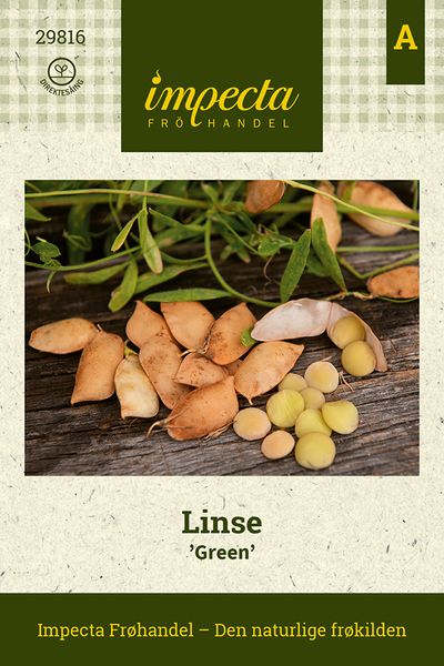 Hovedbilde Linse 'Green'