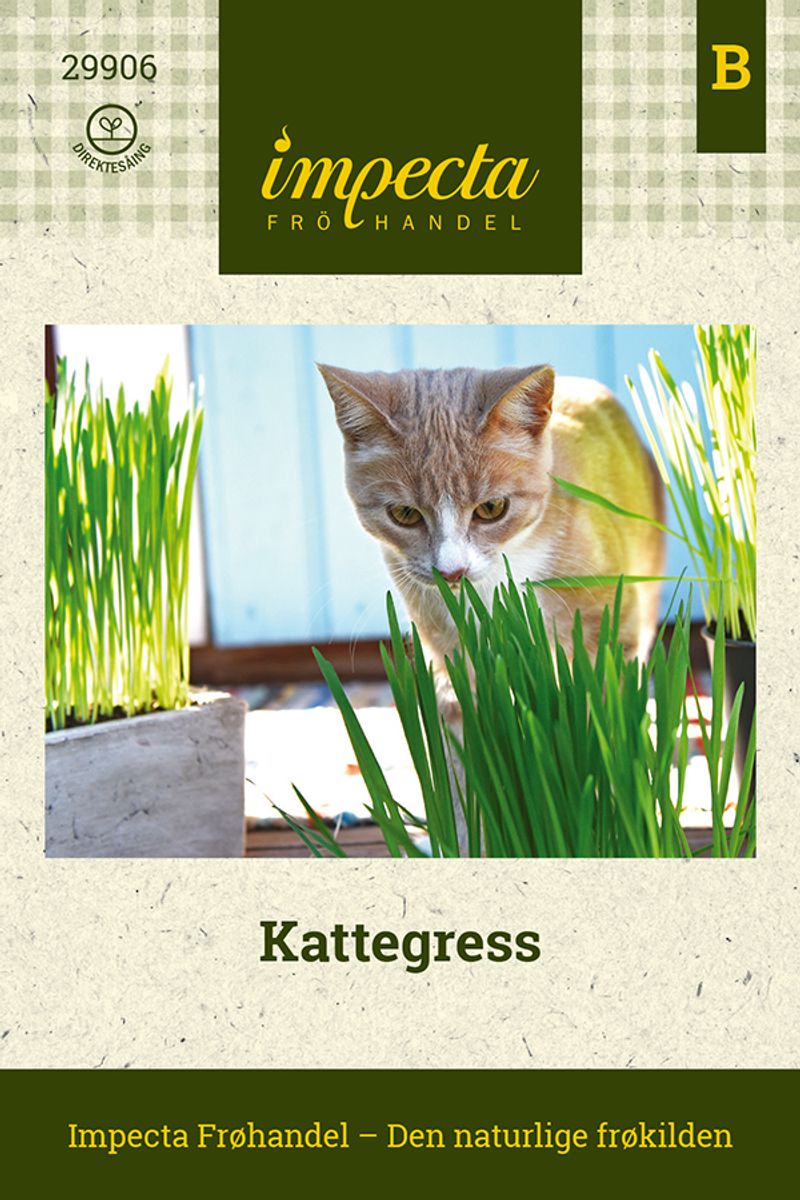 Kattegress