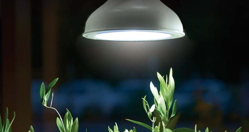 Plantelys LED-pære 18 W