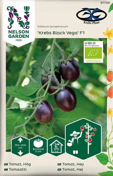 Hovedbilde Tomat Cherry. 'Krebs Black Vega' F1