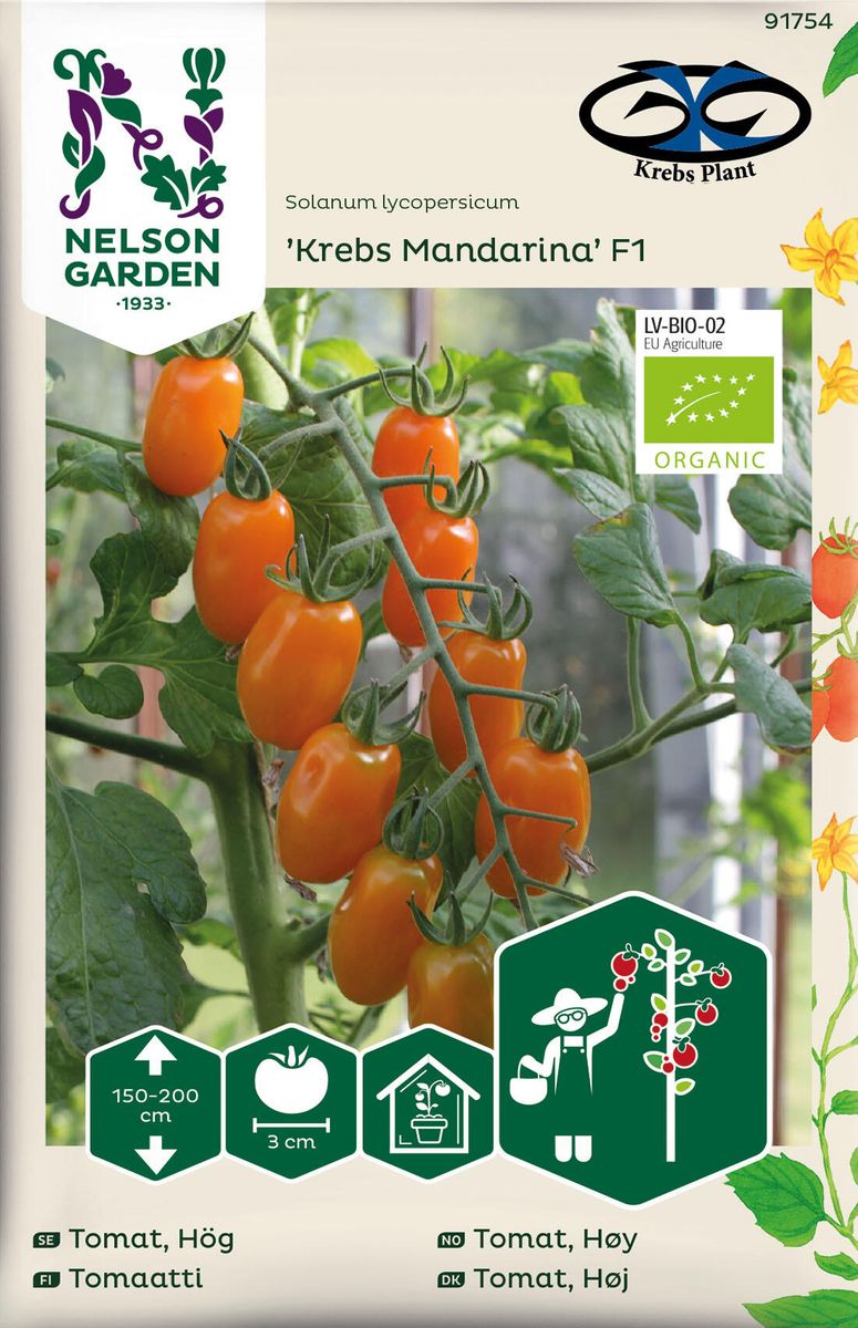Tomat Cherry. 'Krebs Mandarina' F1