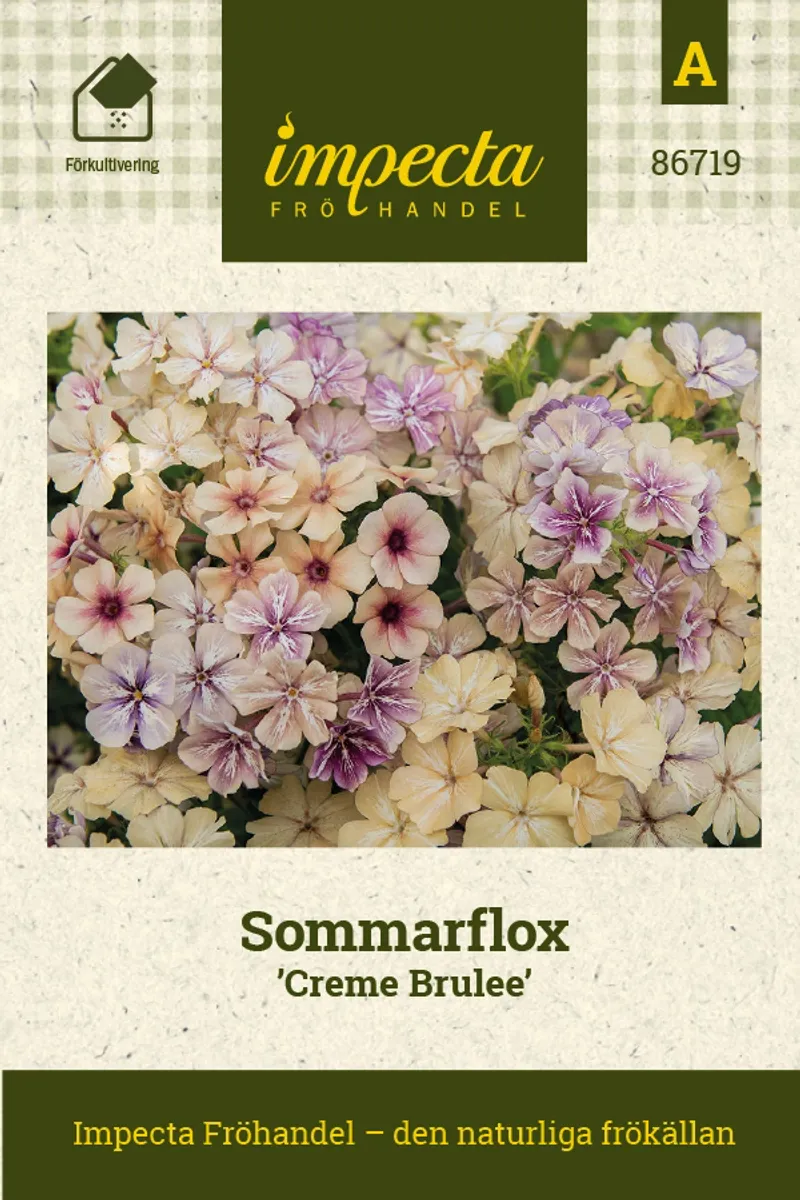 SOMMERFLOKS CREME BRULEE
