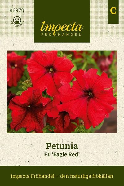 Hovedbilde PETUNIA F1 EAGLE RED