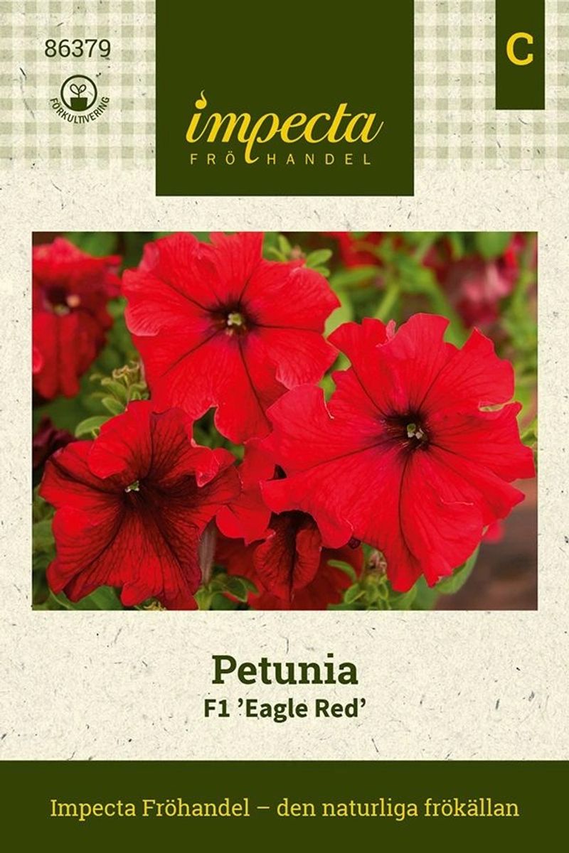 PETUNIA F1 EAGLE RED