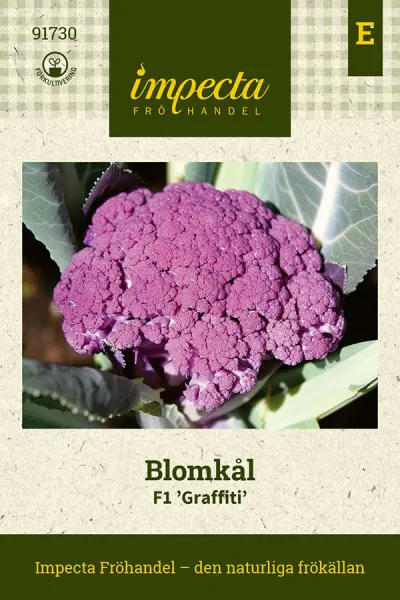 Hovedbilde BLOMKÅL F1 GRAFFITI