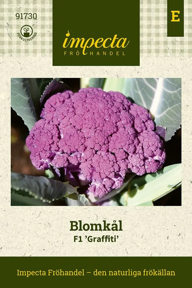 BLOMKÅL F1 GRAFFITI