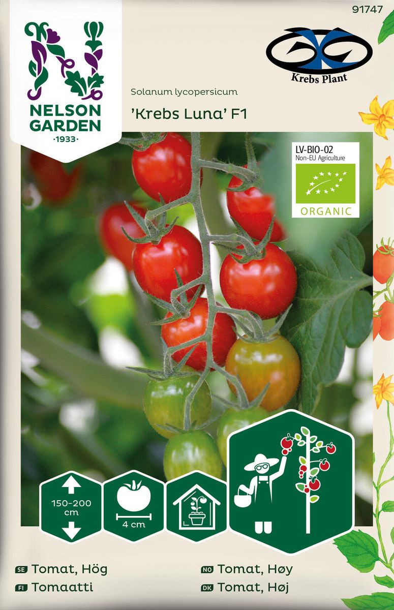 Tomat Cocktail. 'Krebs Luna' F1