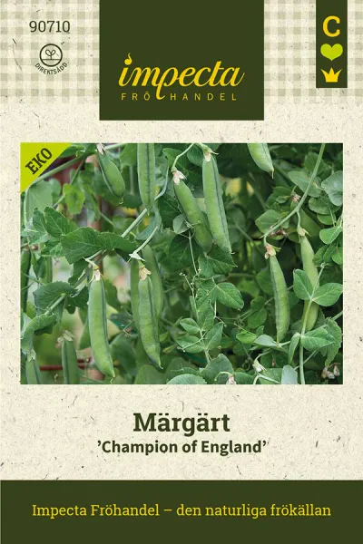 Hovedbilde MARGERT CHAMPION OG ENGLAND