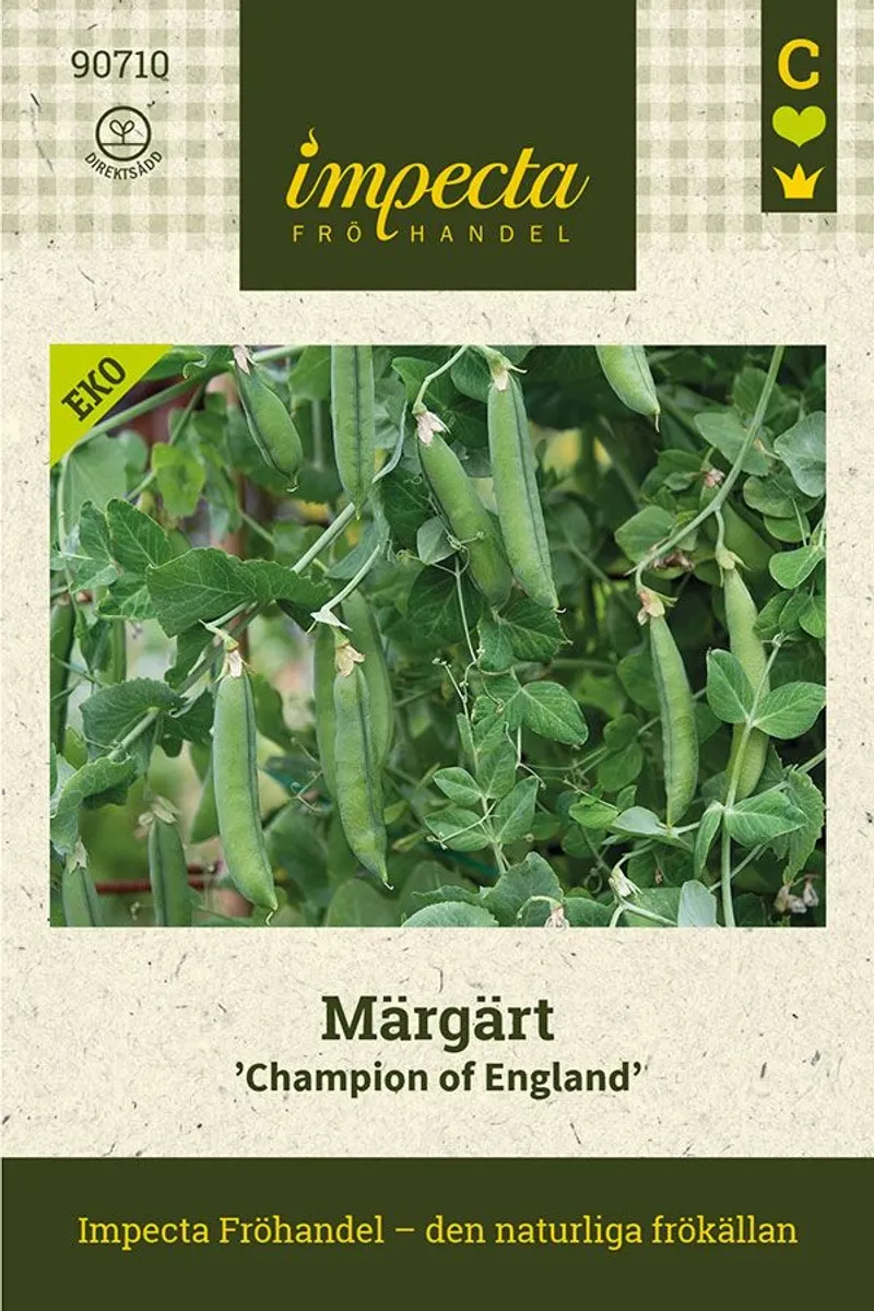 MARGERT CHAMPION OG ENGLAND
